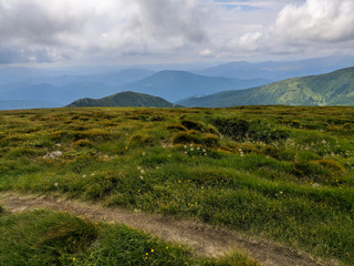 Fototapeta premium Nature of the Carpathian Mountains