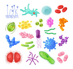 Microorganism, bacteria, virus cell, bacillus, disease bacterium and fungi cells. Infectious germs, protists, microbes, coronavirus. Bundle of disease causing bacteria, viruses cartoon illustration © Idey