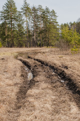 Spring forest landscape: dirty path with puddles, hiking trial