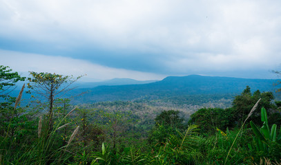 Fototapeta premium Landscape of a tropical forest at Southeast Asia. Thailand.