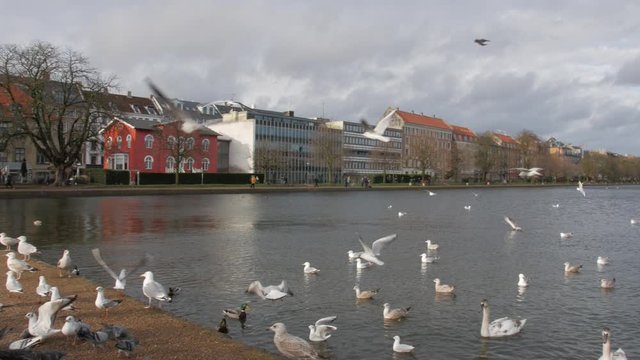 M&aring;ger ved s&oslash;erne K&oslash;benhavn