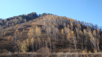 landscape in the mountains