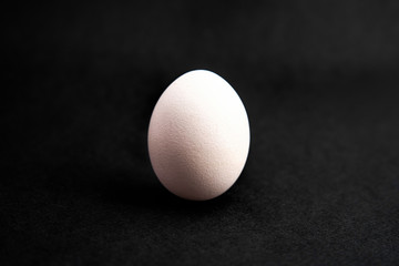 Single white egg on black background