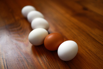eggs laying on wooden surface making a line, one brown among white ones