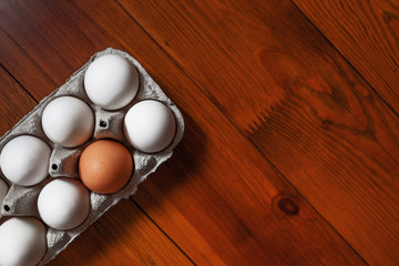 top view of an egg tray filled with white eggs and one brown among them