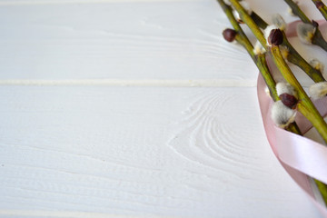 A bunch of pussy willow sticks with a oink ribbon on a white background