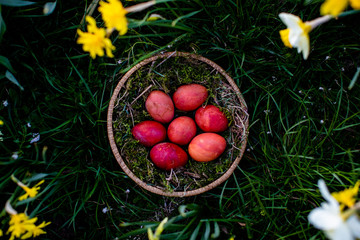 Osterkörbchen, Ostereier, rot, Ostern