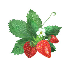 Red strawberry with leaves and flower.