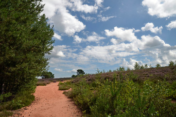  in der mehlinger heide