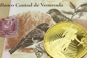 A macro image of a tan hundred Bolivar note from Venezuela with a gold coin.  Shot close up. - obrazy, fototapety, plakaty