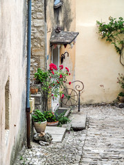Medieval windows arches and doors in Provence surrounded by red flowers and greenery.