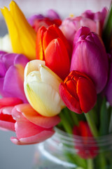 bouquet of colorful tulips