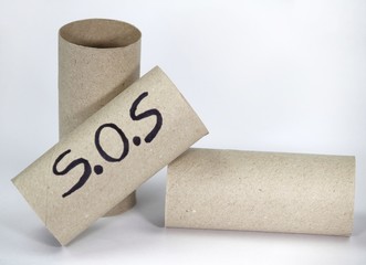 Empty toilet paper roll on white background