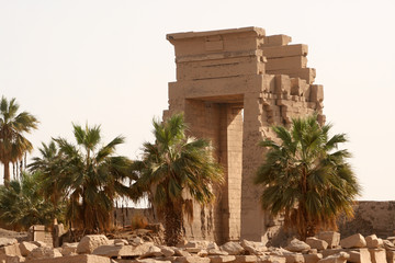 Obraz premium Palm trees are part of everyday city life in the southern countries