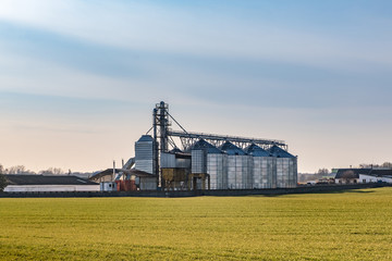 Fototapeta na wymiar agro-processing and manufacturing plant for processing and silver silos for drying cleaning and storage of agricultural products, flour, cereals and grain. Granary elevator.
