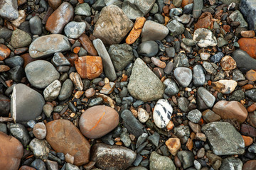 A collection of pebbles on the beach