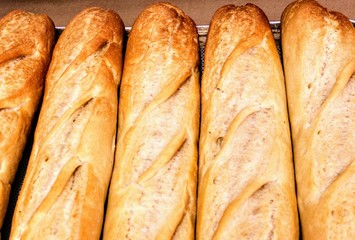 Freshly baked loaves of bread