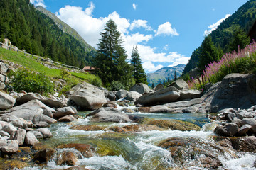 Mountain river. Switzerland