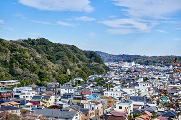 Fototapeta na wymiar Kamakura city from the top of the hill