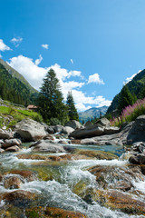 Mountain river. Switzerland