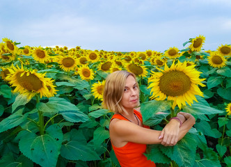 girl hugs a sunflower flower in a sunflower field in summer sunny day
