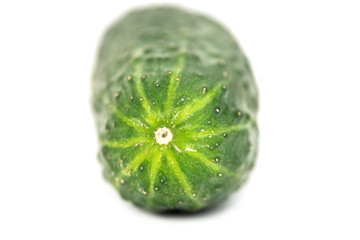 fresh natural single green ground cucumber