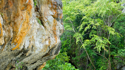 Mountains Trees forest travel nature