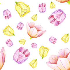 seamless pattern of pink yellow Tulip flowers