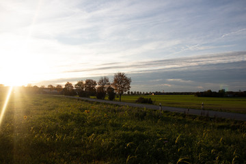 Fototapeta premium Feld