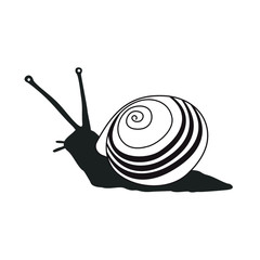 Black and white vector illustration. Snail vector pattern. Snail vector background