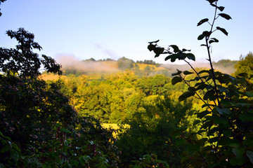 View of a hill in the clouds, with trees in front of it