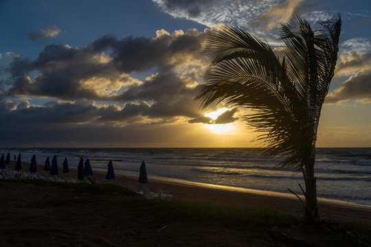 sunrise on the beach