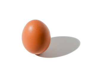 brown egg with shade on white background