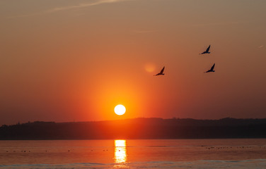 beautiful sunset over the lake sunlight reflection