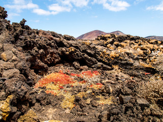 Timanfaya National Park is a national park in the Canary Islands