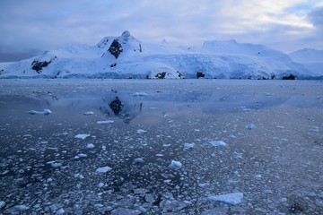 Cierva Cove , Antarctica 