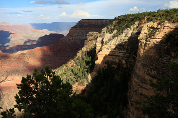 Fototapeta premium Arizona / USA - August 01, 2015: South Rim Grand Canyon landscape, Arizona, USA