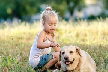 Little girl is playing with a labrador in the park.