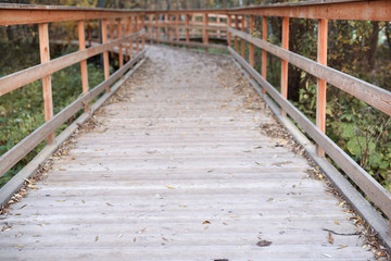 Golden autumn, beautiful background of orange leaves on the path