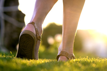 Close up of woman feet in summer sandals shoes walking on spring lawn covered with fresh green...