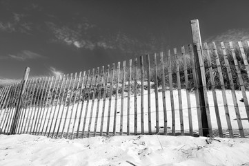 Fence protecting dunes from human distorbance