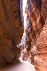 Amazing canyon of famous Petra, Jordan