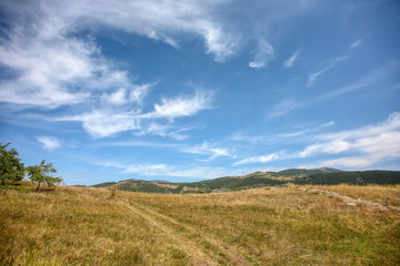 The beauty of nature. Landscape .