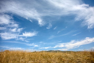 The beauty of nature. Landscape .