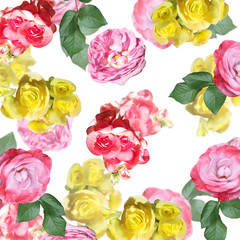 Beautiful floral background of begonias and roses. Isolated