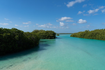 paradise view mexico