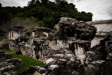 maya ruines in Mexico jungle