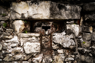 maya ruines in Mexico jungle