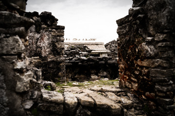 maya ruines in Mexico jungle