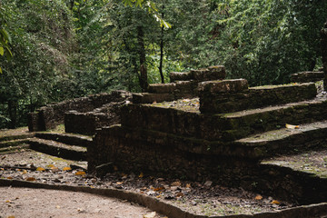 Fototapeta na wymiar maya ruines in Mexico jungle